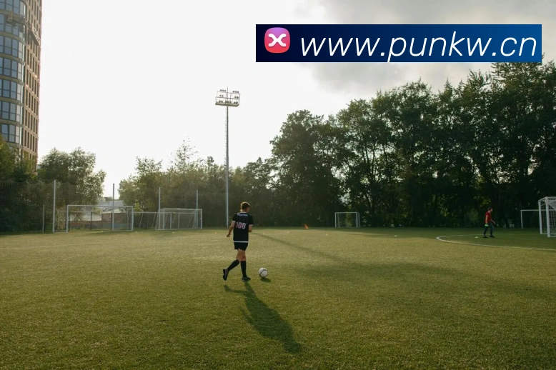 乐鱼在线登陆入口平台生态图