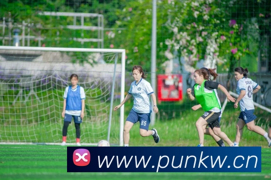 乐鱼在线登陆入口APP 封面图